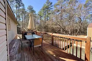 250 Dixieland Trail, Leesville, SC 29070 - Photo 27