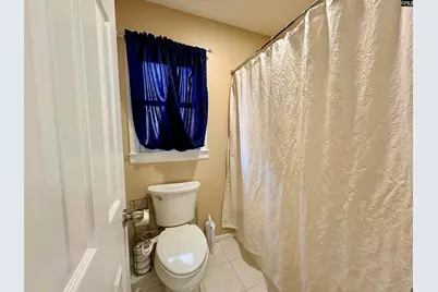 250 Dixieland Trail, Leesville, SC 29070 - Photo 15