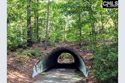 605 Timberleaf Court, Columbia, SC 29212 - Photo 51