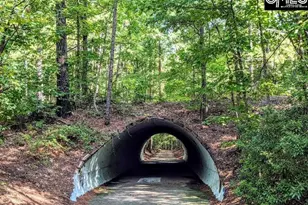 605 Timberleaf Ct, Columbia, SC 29212 - Photo 51