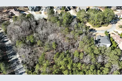 329 Brunner Circle, Blythewood, SC 29016 - Photo 13