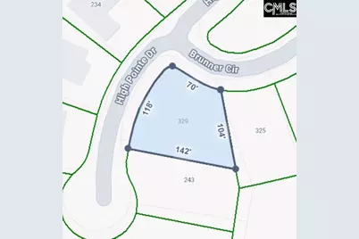 329 Brunner Circle, Blythewood, SC 29016 - Photo 9