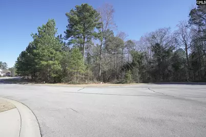 329 Brunner Circle, Blythewood, SC 29016 - Photo 23