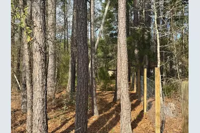 901 Old Bluff Road, Hopkins, SC 29061 - Photo 13