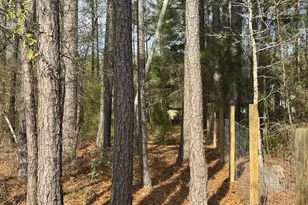 901 Old Bluff Rd, Hopkins, SC 29061 - Photo 13