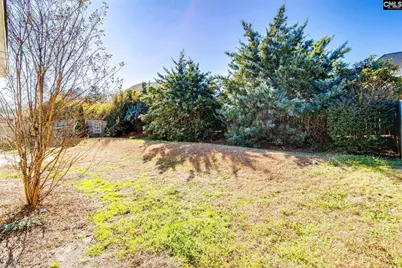 317 Bronze Drive, Lexington, SC 29072 - Photo 45