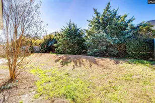 317 Bronze Dr, Lexington, SC 29072 - Photo 45