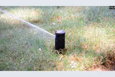 149 Dew Blossom Drive, Lexington, SC 29073 - Photo 33