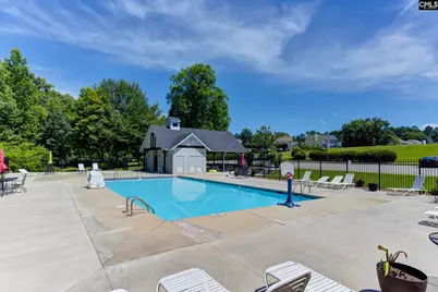 100 Cobden Court, Lexington, SC 29072 - Photo 39