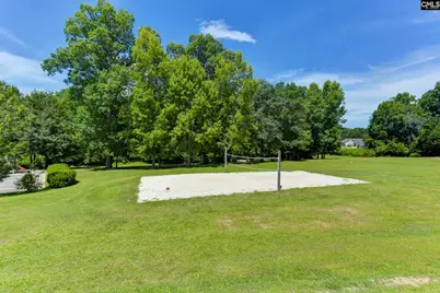 100 Cobden Court, Lexington, SC 29072 - Photo 43