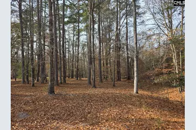 142 Orange Parish Street, Orangeburg, SC 29118 - Photo 1