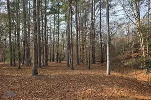 142 Orange Parish St, Orangeburg, SC 29118 - Photo 1