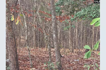 142 Orange Parish Street, Orangeburg, SC 29118 - Photo 7