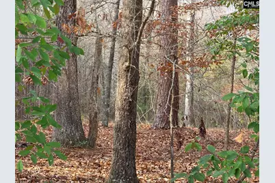 142 Orange Parish Street, Orangeburg, SC 29118 - Photo 5