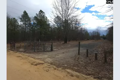 307 Tom Adams Road, Leesville, SC 29070 - Photo 3
