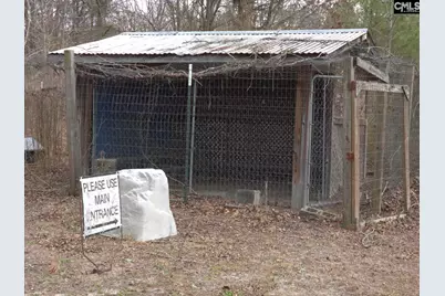 307 Tom Adams Road, Leesville, SC 29070 - Photo 31