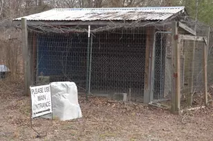 307 Tom Adams Rd, Leesville, SC 29070 - Photo 31