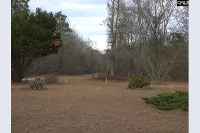 307 Tom Adams Road, Leesville, SC 29070 - Photo 5
