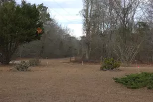 307 Tom Adams Rd, Leesville, SC 29070 - Photo 5