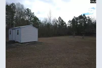 307 Tom Adams Road, Leesville, SC 29070 - Photo 33