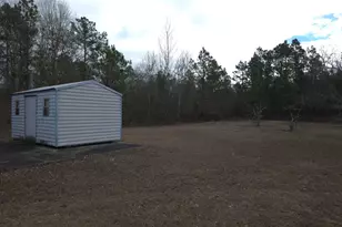 307 Tom Adams Rd, Leesville, SC 29070 - Photo 33