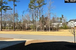 156 River Front, Irmo, SC 29063 - Photo 31