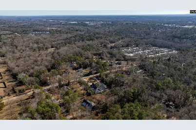 345 Old Chapin Road, Lexington, SC 29072 - Photo 9