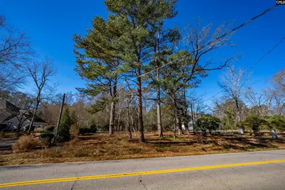 345 Old Chapin Road, Lexington, SC 29072 - Photo 15