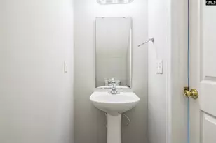 287 Indigo Springs Dr, Columbia, SC 29229 - Photo 17