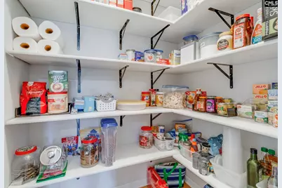 509 Long Ridge Drive, Lexington, SC 29073 - Photo 17