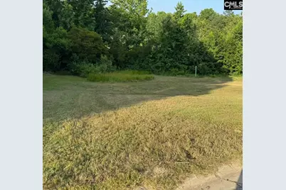 421 Bosque Circle, Blythewood, SC 29016 - Photo 3