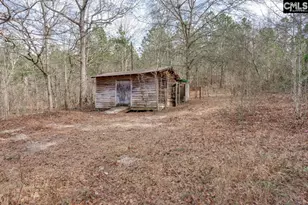 675 Crystal Springs Dr, Lexington, SC 29073 - Photo 25