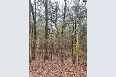 1176 Great Falls Highway #4, Chester, SC 29706 - Photo 3