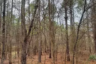 1176 Great Falls Hwy, Chester, SC 29706 - Photo 1