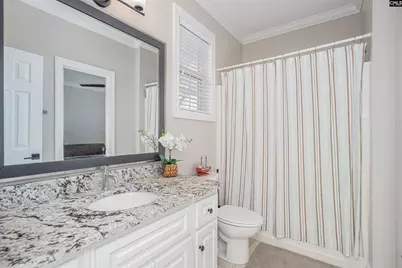 253 Vista Springs Circle, Lexington, SC 29072 - Photo 31