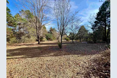 241 Megill Drive, Pelion, SC 29123 - Photo 3