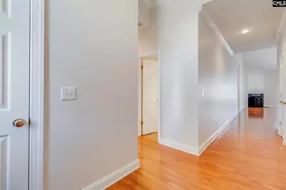 192 Palm Street, Chapin, SC 29036 - Photo 7