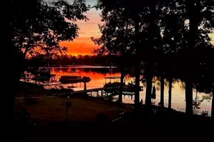 192 Palm St, Chapin, SC 29036 - Photo 49