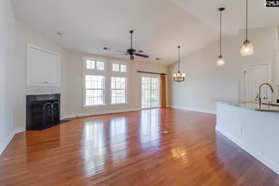 192 Palm Street, Chapin, SC 29036 - Photo 3