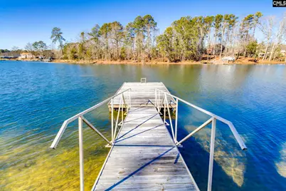 192 Palm Street, Chapin, SC 29036 - Photo 35