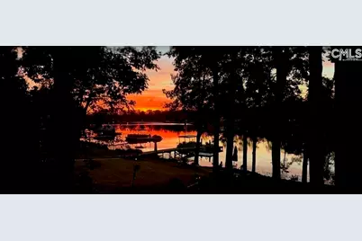 192 Palm Street, Chapin, SC 29036 - Photo 51