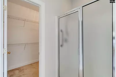 192 Palm Street, Chapin, SC 29036 - Photo 23