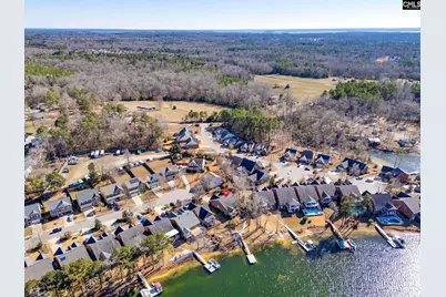 192 Palm Street, Chapin, SC 29036 - Photo 41