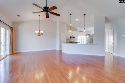 192 Palm Street, Chapin, SC 29036 - Photo 11