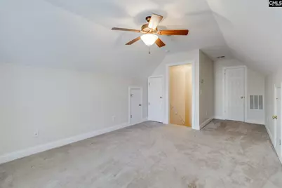 192 Palm Street, Chapin, SC 29036 - Photo 27