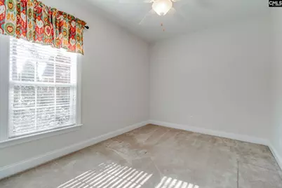 192 Palm Street, Chapin, SC 29036 - Photo 27