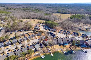 192 Palm St, Chapin, SC 29036 - Photo 43