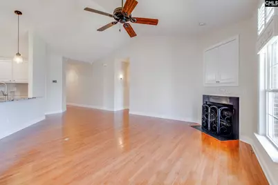 192 Palm Street, Chapin, SC 29036 - Photo 7