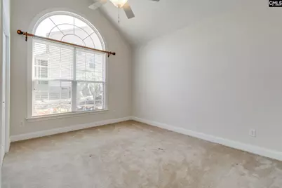 192 Palm Street, Chapin, SC 29036 - Photo 25