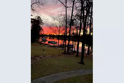 192 Palm Street, Chapin, SC 29036 - Photo 45